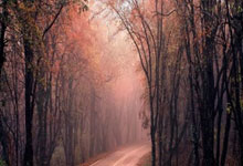 素尔比电视台将为观众带来曼城对热刺的直播赛事