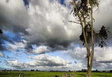 意大利队大比分轻松击败对手