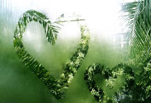 热刺客场失利，陷入连战连败困境