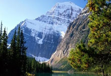 尤文图斯中场表现抢眼，成为球队核心