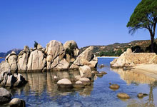 热刺客场失利，陷入连战连败困境