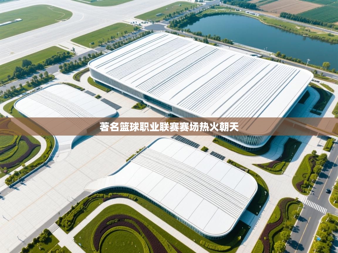 著名篮球职业联赛赛场热火朝天