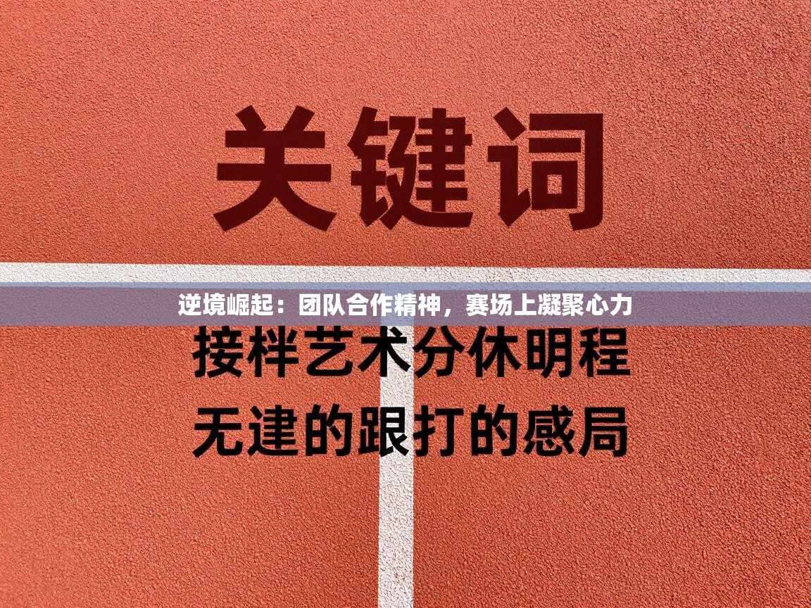 逆境崛起：团队合作精神，赛场上凝聚心力
