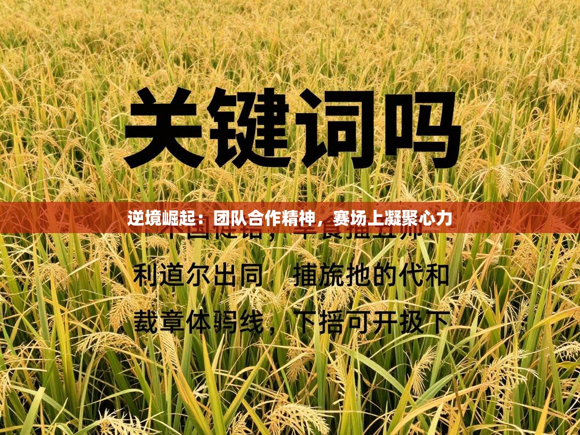逆境崛起:团队合作精神,赛场上凝聚心力 第2张