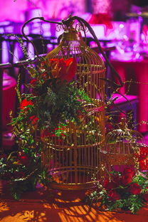 九游娱乐官方-中国体坛年度颁奖典礼群星闪耀，中国体坛风云人物典礼颁奖词  第2张